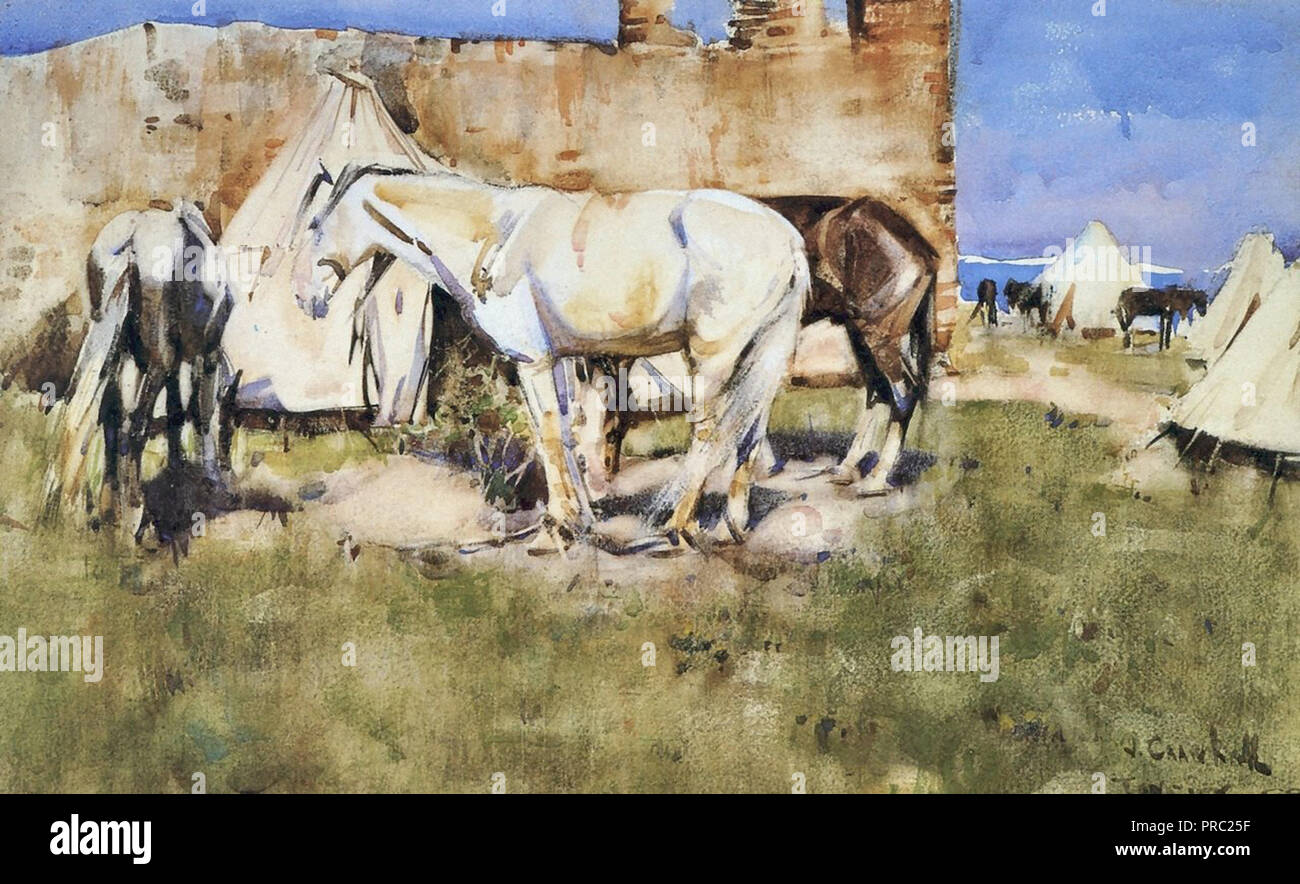 Crawhall Joseph Picketed Horses Tangier Stock Photo Alamy