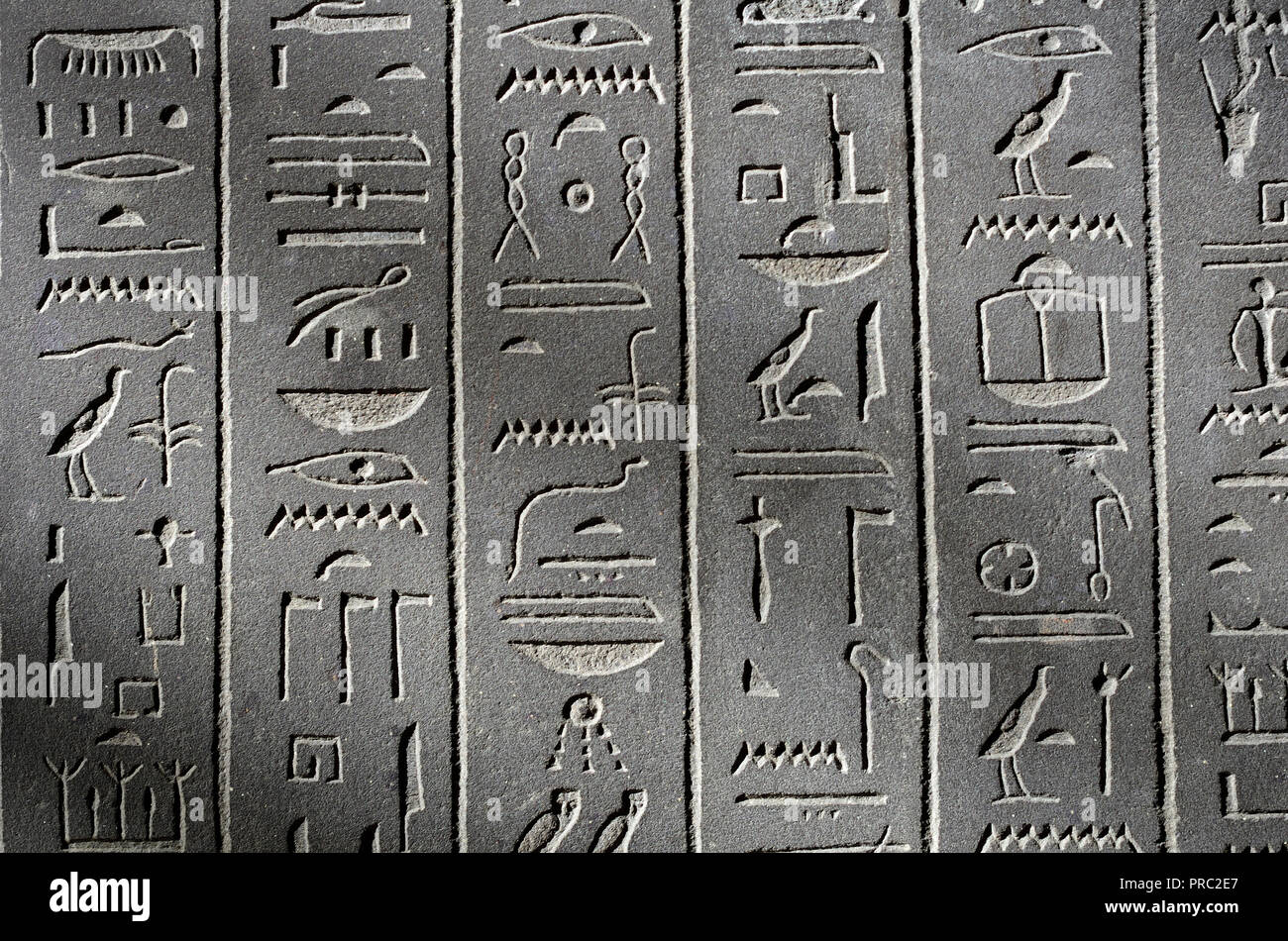 Egyptian hieroglyphs on the Sarcophagus of the 'God's Wife' Ankhnesneferiba. 'Late Period' (664-332 BC) British Museum, Bloomsbury, London, England, U Stock Photo