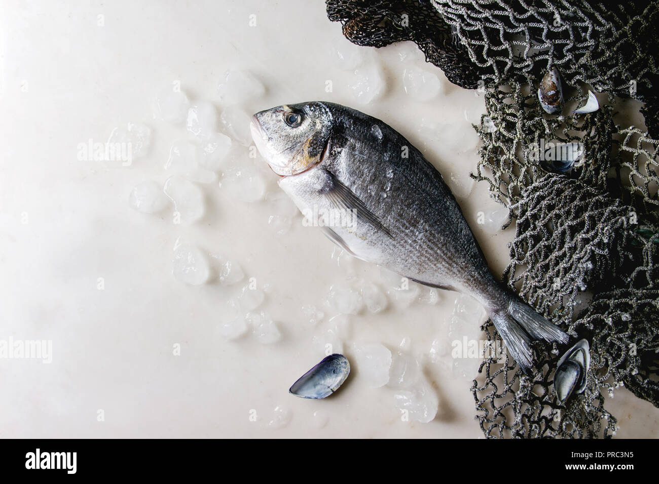 Raw sea bream fish Stock Photo