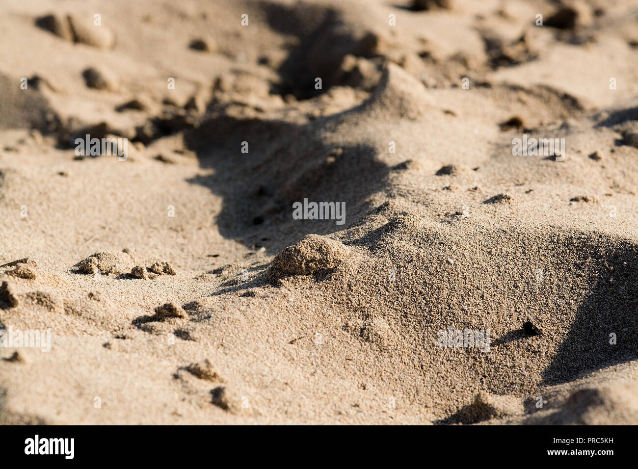 Shape of the sand grains hi-res stock photography and images - Alamy
