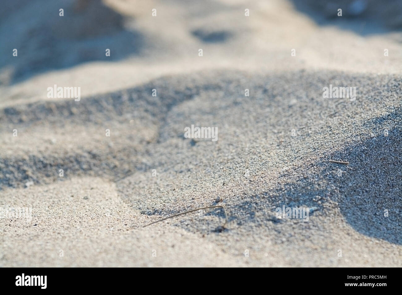 Sunlit sandy beach grains macro closeup background texture Stock Photo