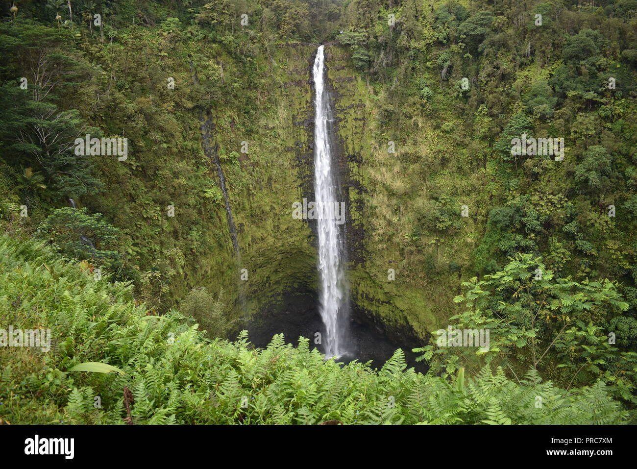 Akaka Falls Big Island Hawaii USA Stock Photo