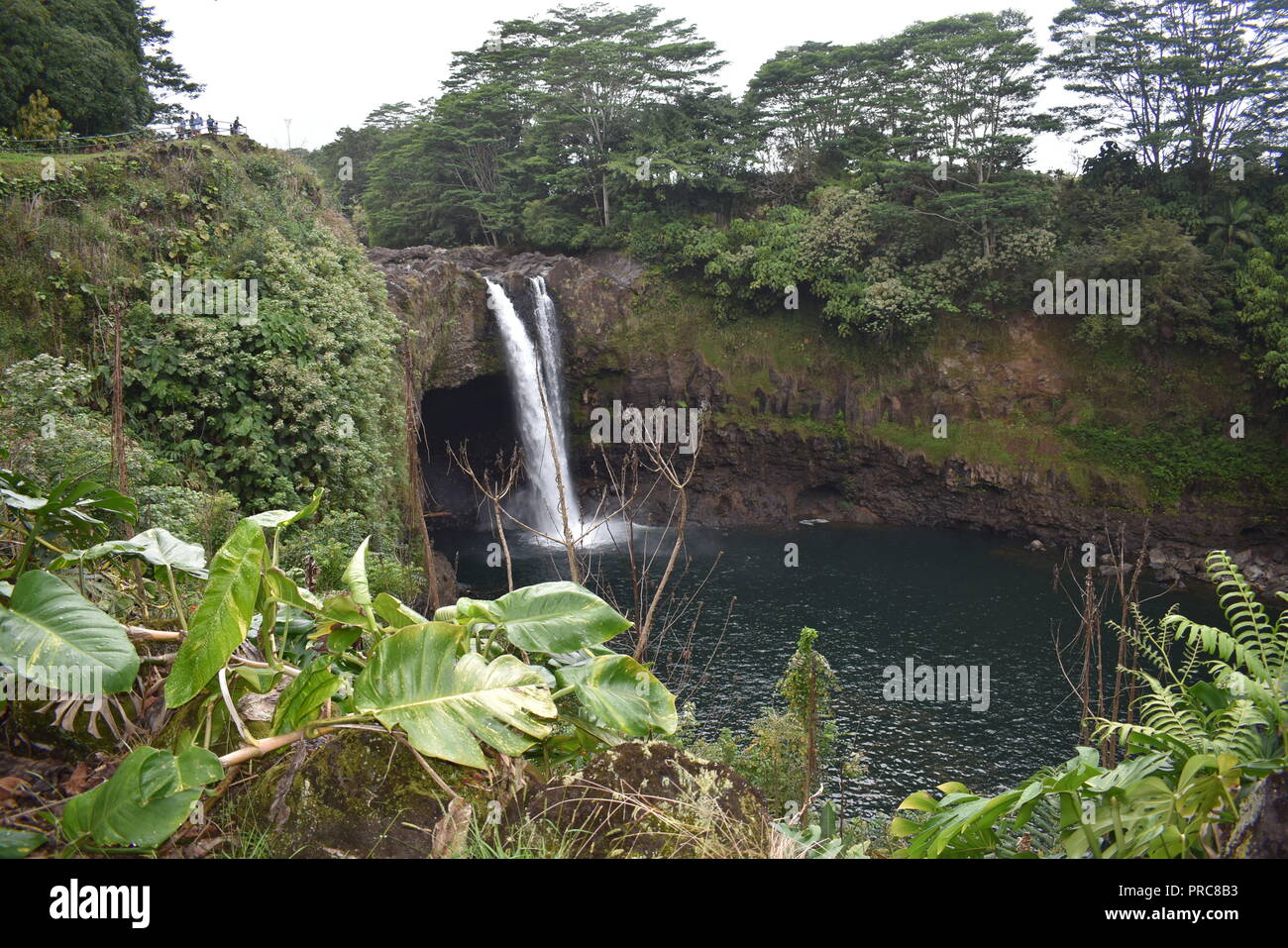 Big tropical rainbow hires stock photography and images Alamy