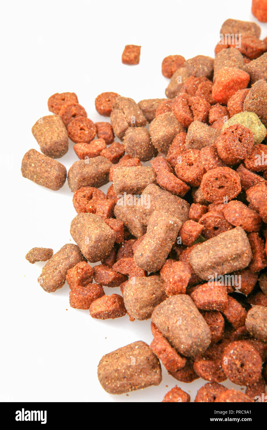 Dry dog food isolated on white background Stock Photo Alamy