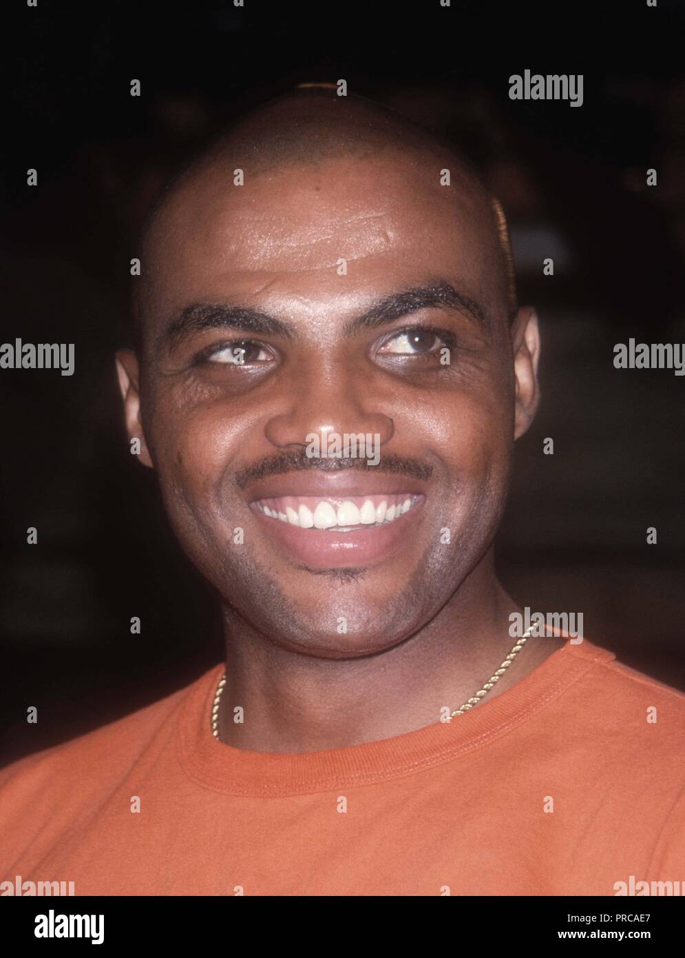 Charles Barkley 1993 Photo By John Barrett/PHOTOlink / MediaPunch Stock