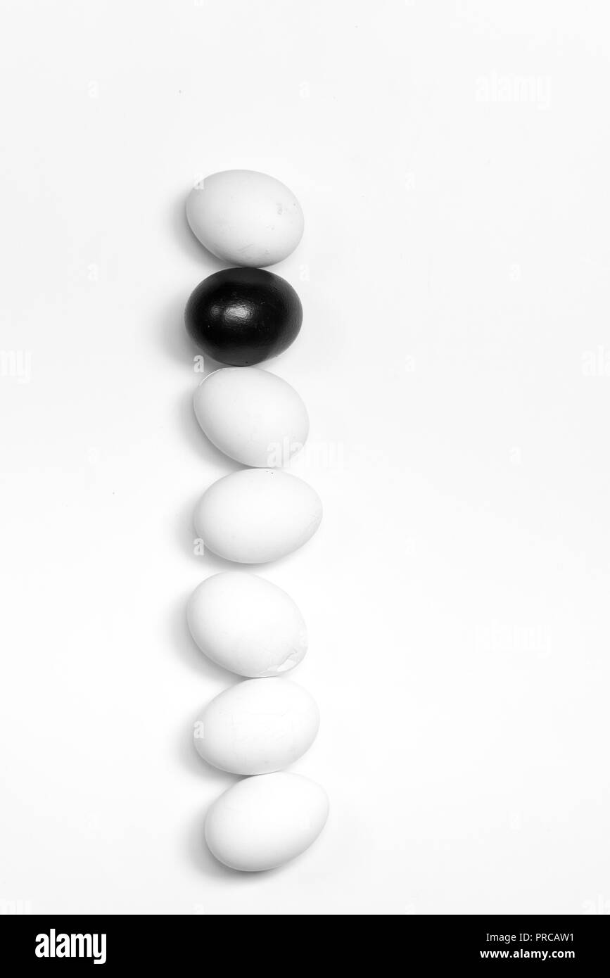 on a white background, a few white eggs one black symbolizing diversity, separation and leadership Stock Photo