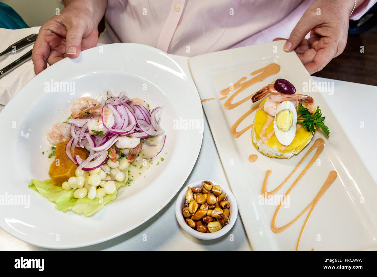 Miami Florida,Biscayne Boulevard,Limon & Sabor Peruvian Seafood