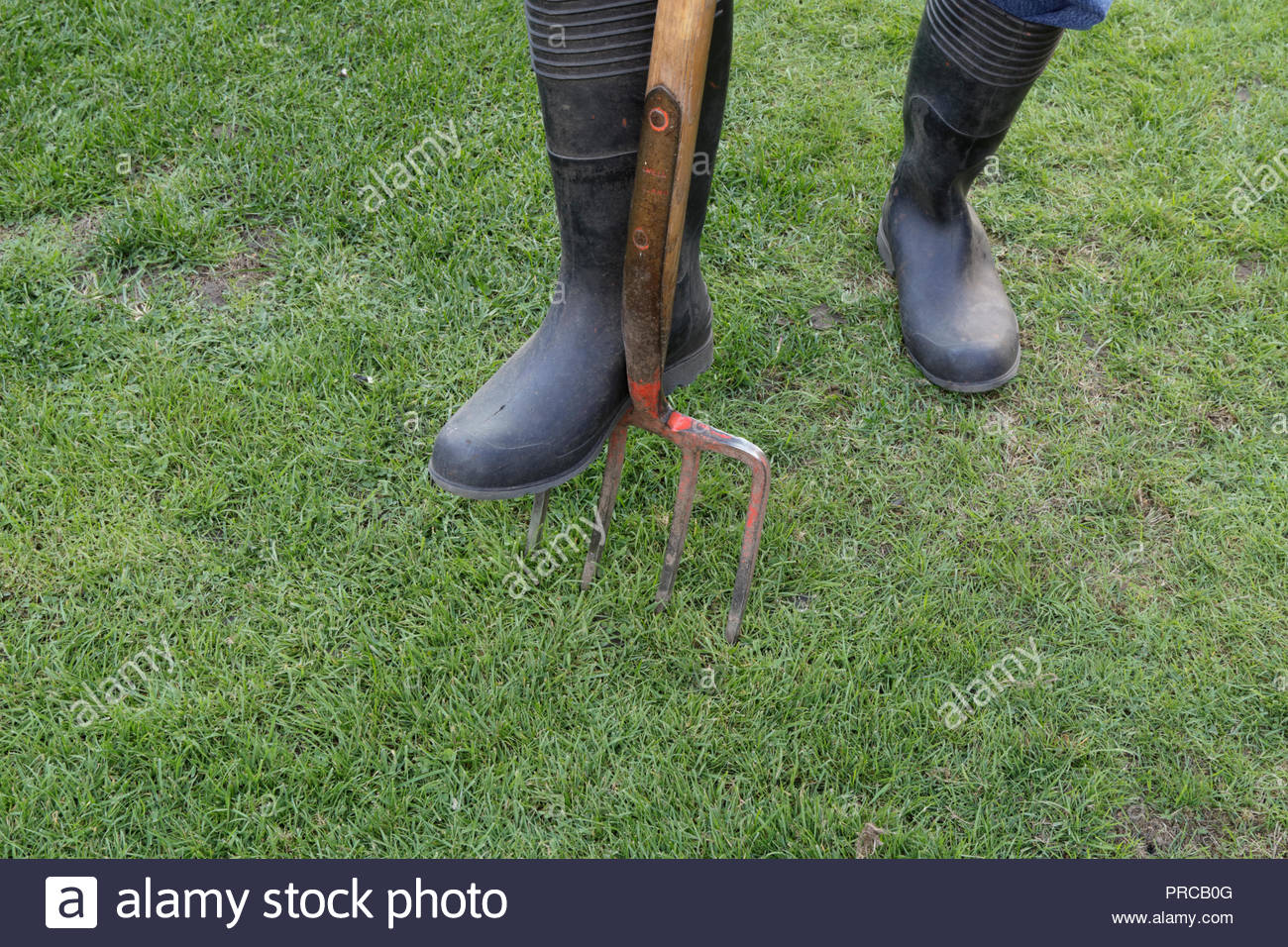 Forking Stock Photos & Forking Stock Images Alamy