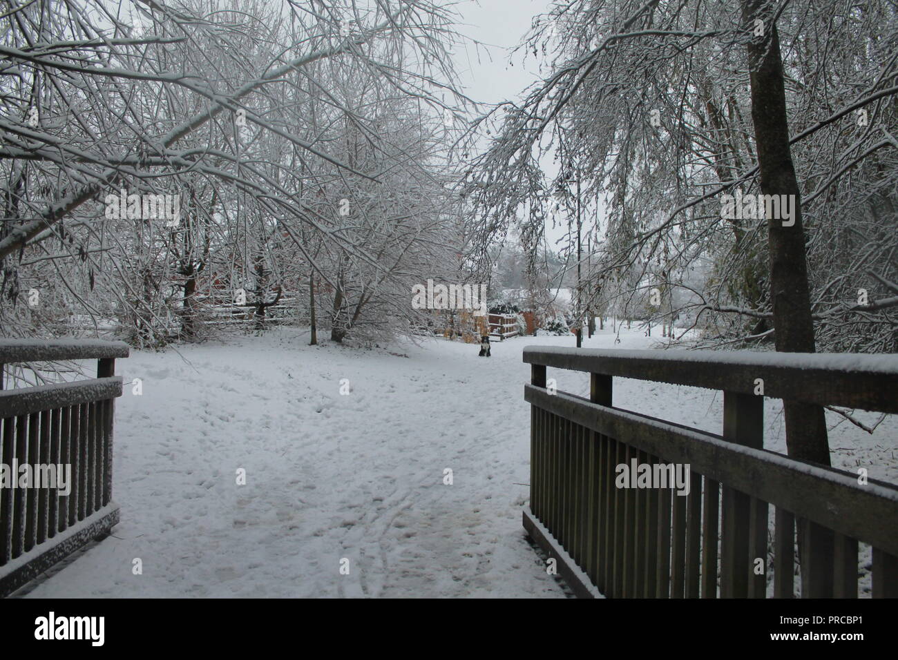 Bridge landscape in winter Stock Photo