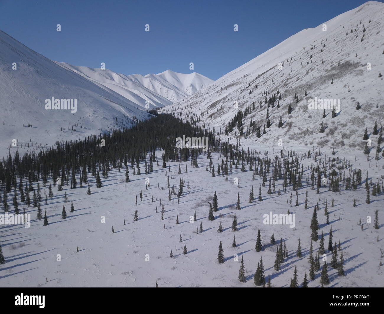 yukon-dawson-winter-hi-res-stock-photography-and-images-alamy