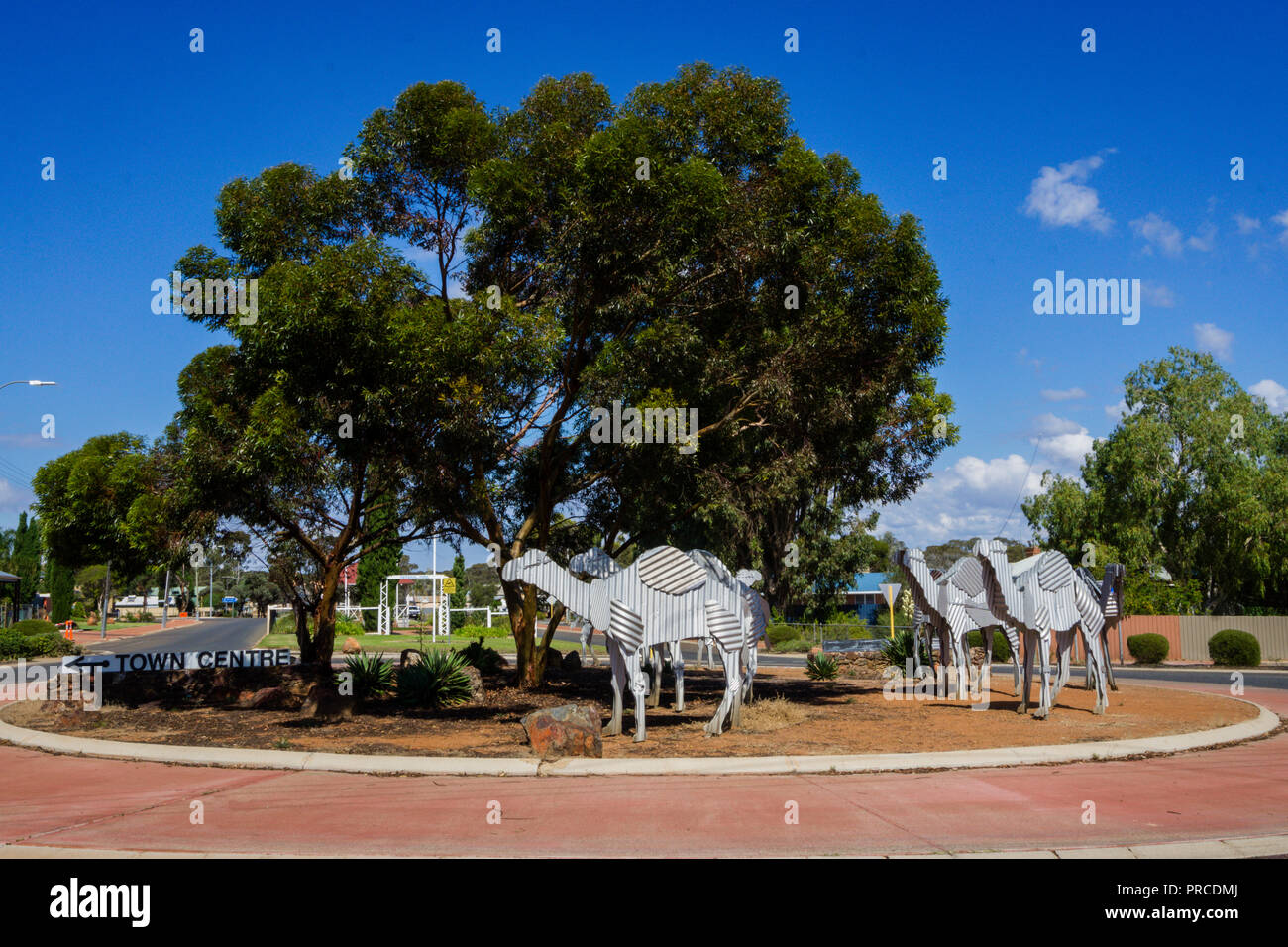 Corrugated iron sculptures of camels in the mining town of Norseman in Western Australia at the western gateway to the Nullabor Plain Stock Photo