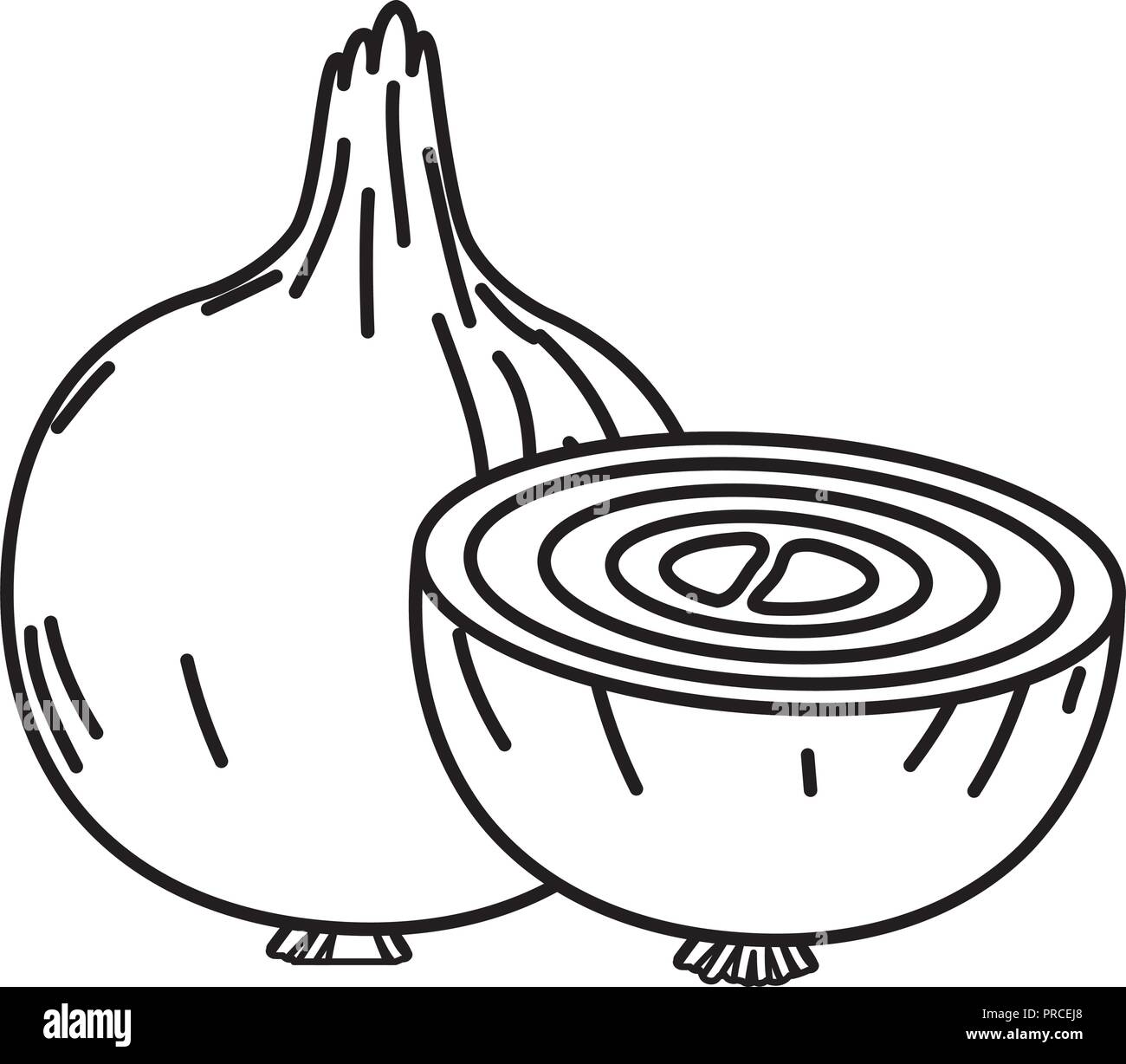 Onion Cartoon PNG Images With Transparent Background | Free Download On  Lovepik