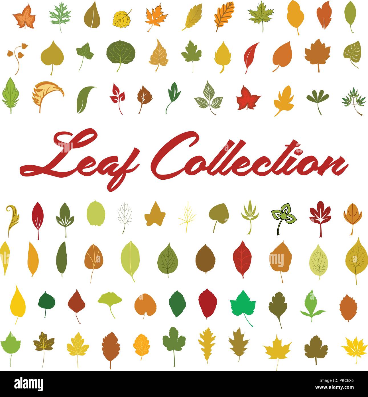 Leaf Collection Vector Stock Vector Image Art Alamy Leaf Collection Vector Stock Vector Image Art Alamy