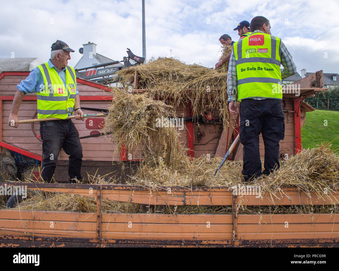 Group of men loading a threshing machine with oats using pitchforks