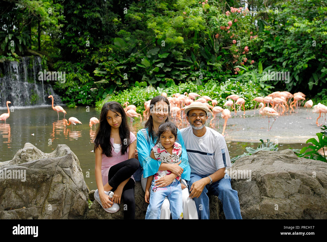 FAMILY OF FOUR OUTSIDE THE CARRIBEAN FLAMINGO ENCLOSURE AT THE JURONG