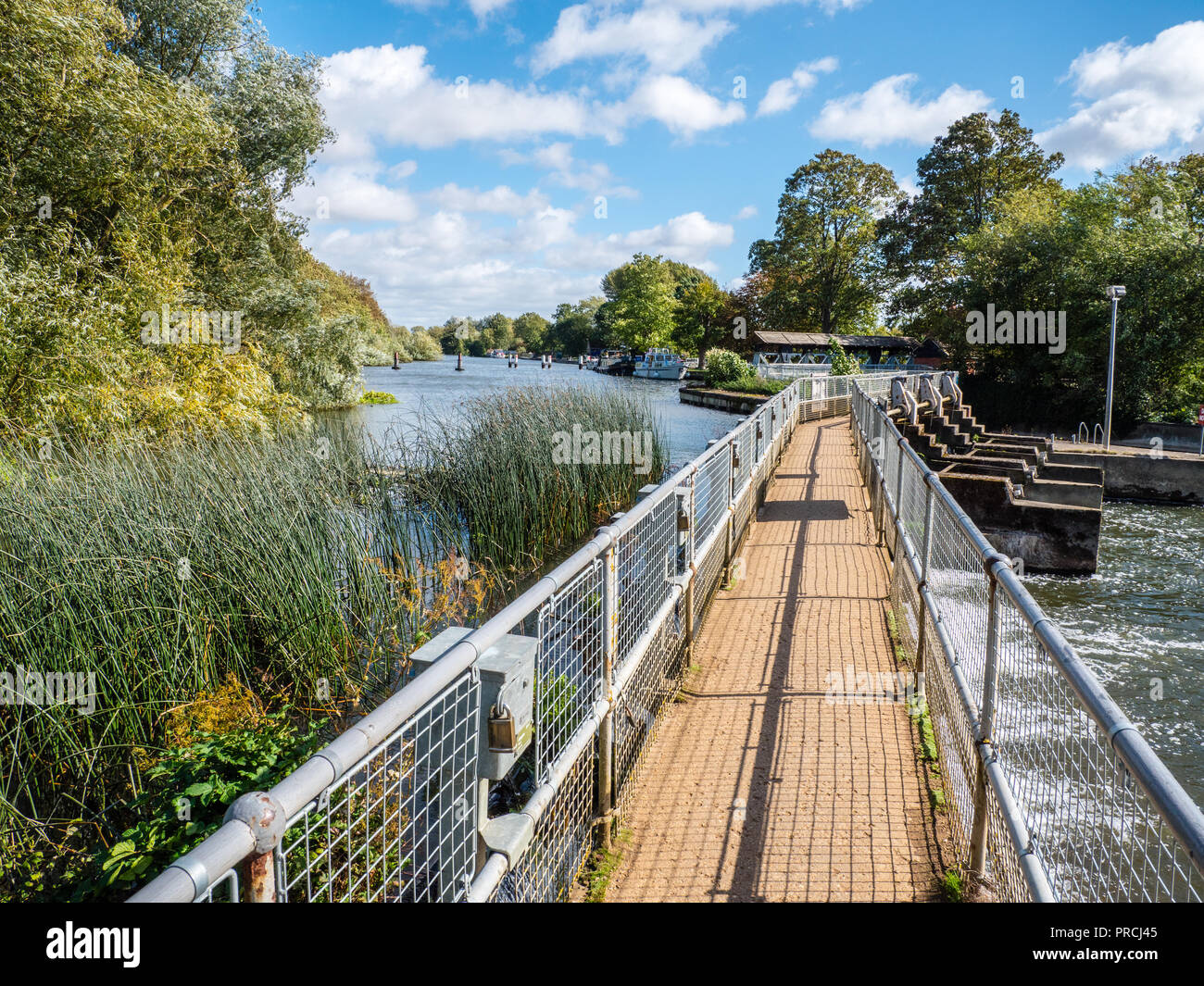 Weir With Footpath, Thames Path at Abingdon Lock, River Thames, Abingdon, Oxfordshire, England, UK, GB. Stock Photo