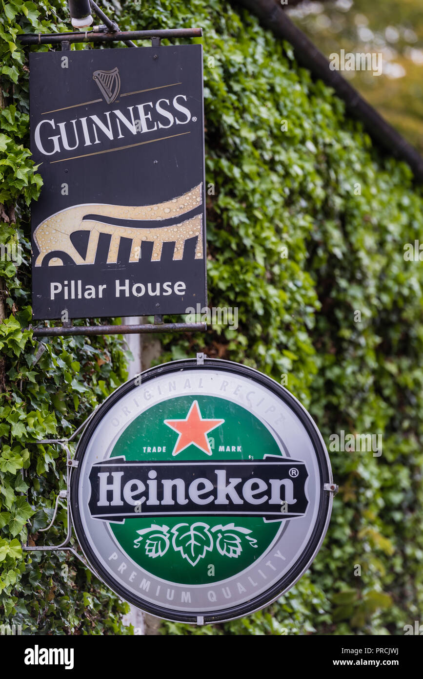 Guinness and Heinekin signs on an ivy-covered outside wall of an Irish pub. Stock Photo