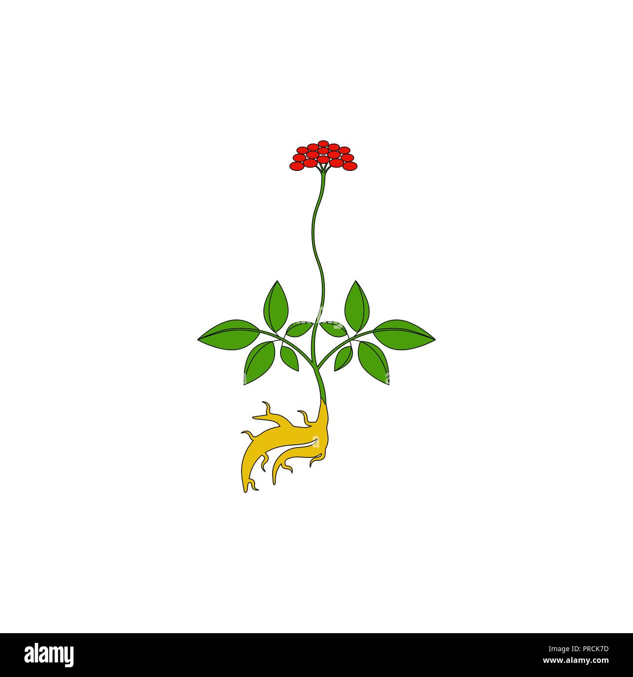 medicinal herb icon Stock Vector Image & Art - Alamy