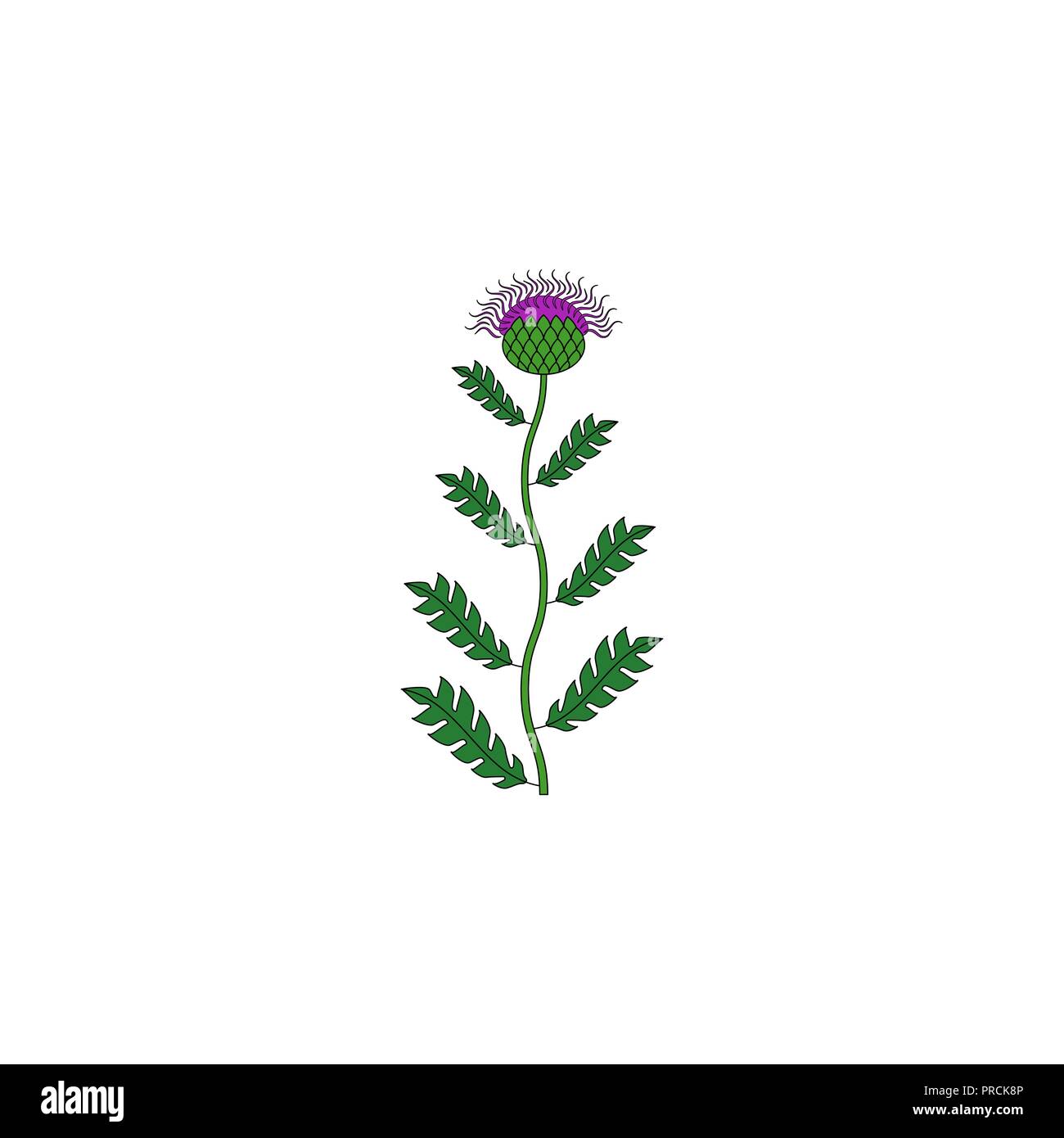 medicinal herb icon Stock Vector Image & Art - Alamy