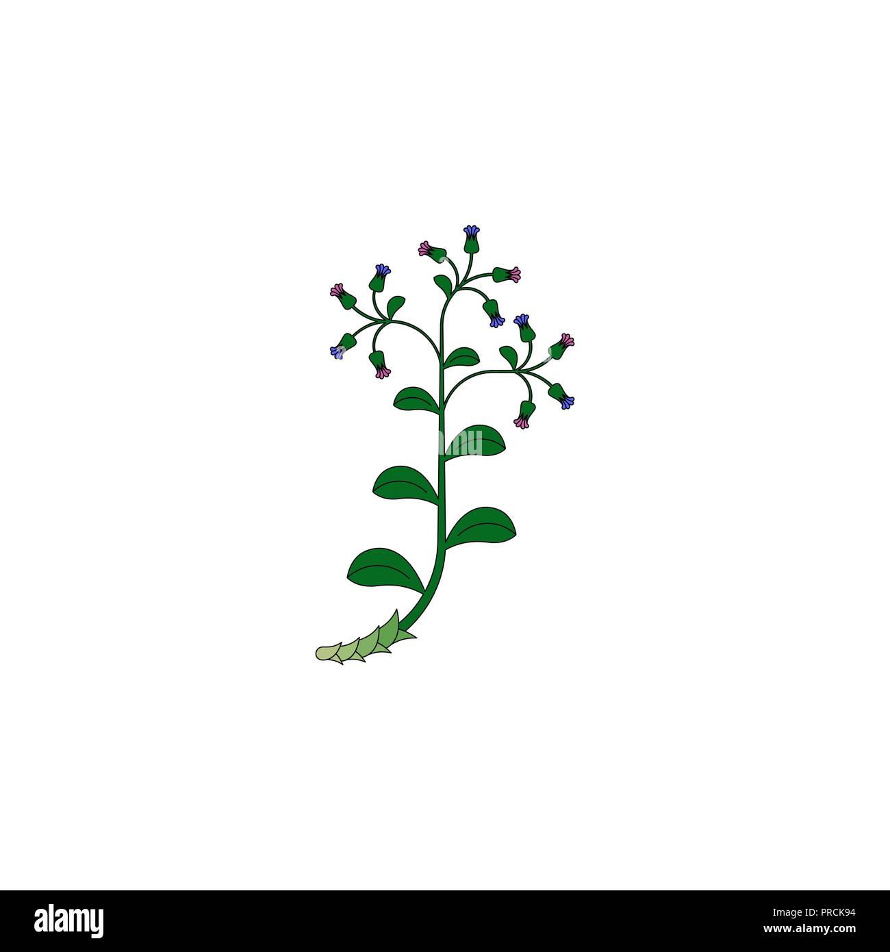 medicinal herb icon Stock Vector Image & Art - Alamy