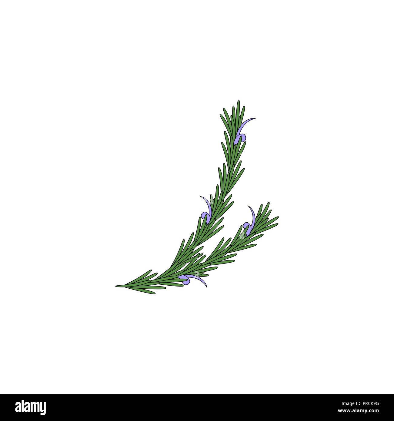 medicinal herb icon Stock Vector Image & Art - Alamy