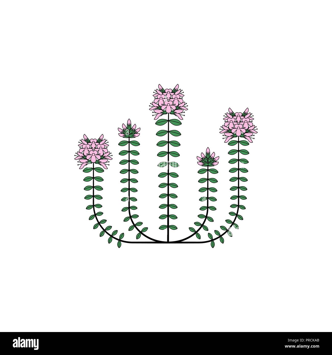 Therapeutic herb Stock Vector Images - Alamy