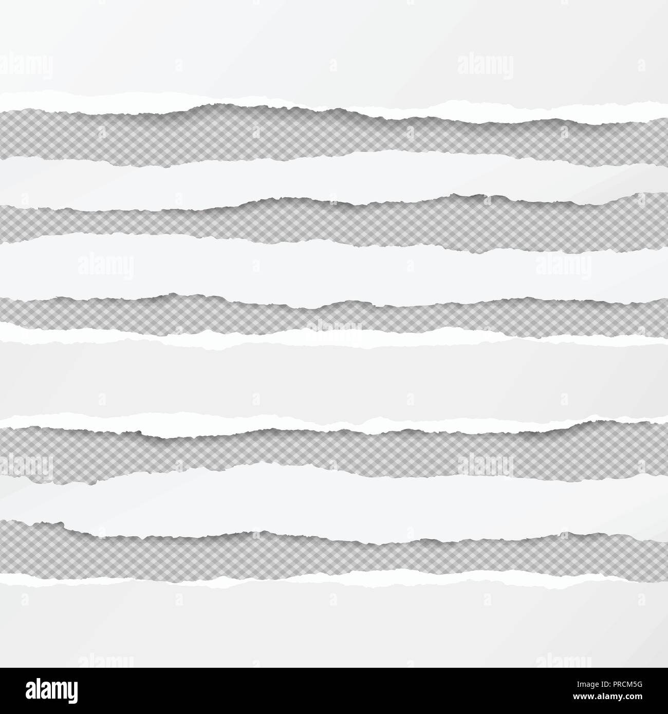 Strip of paper traduction