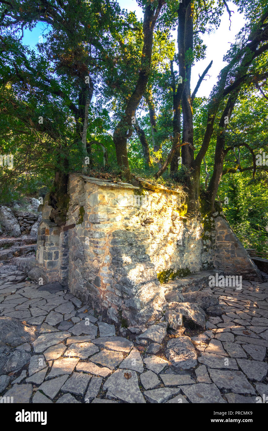 Agia Theodora church in Isaris Peloponnese, Greece. On the roof of the church have grown giant