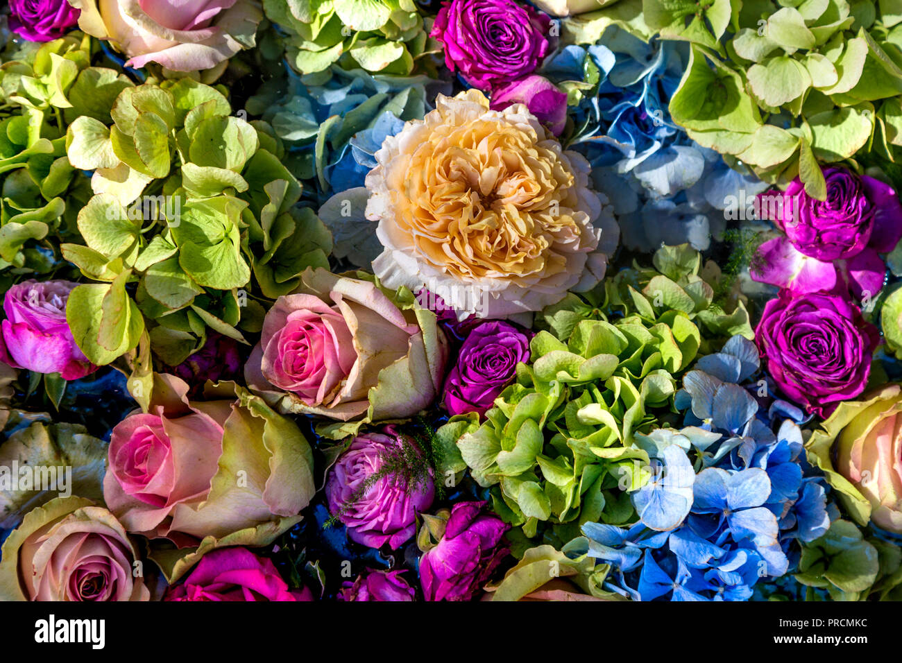 Background of pastel coloured flowers and roses in pink, lilac and blue Stock Photo