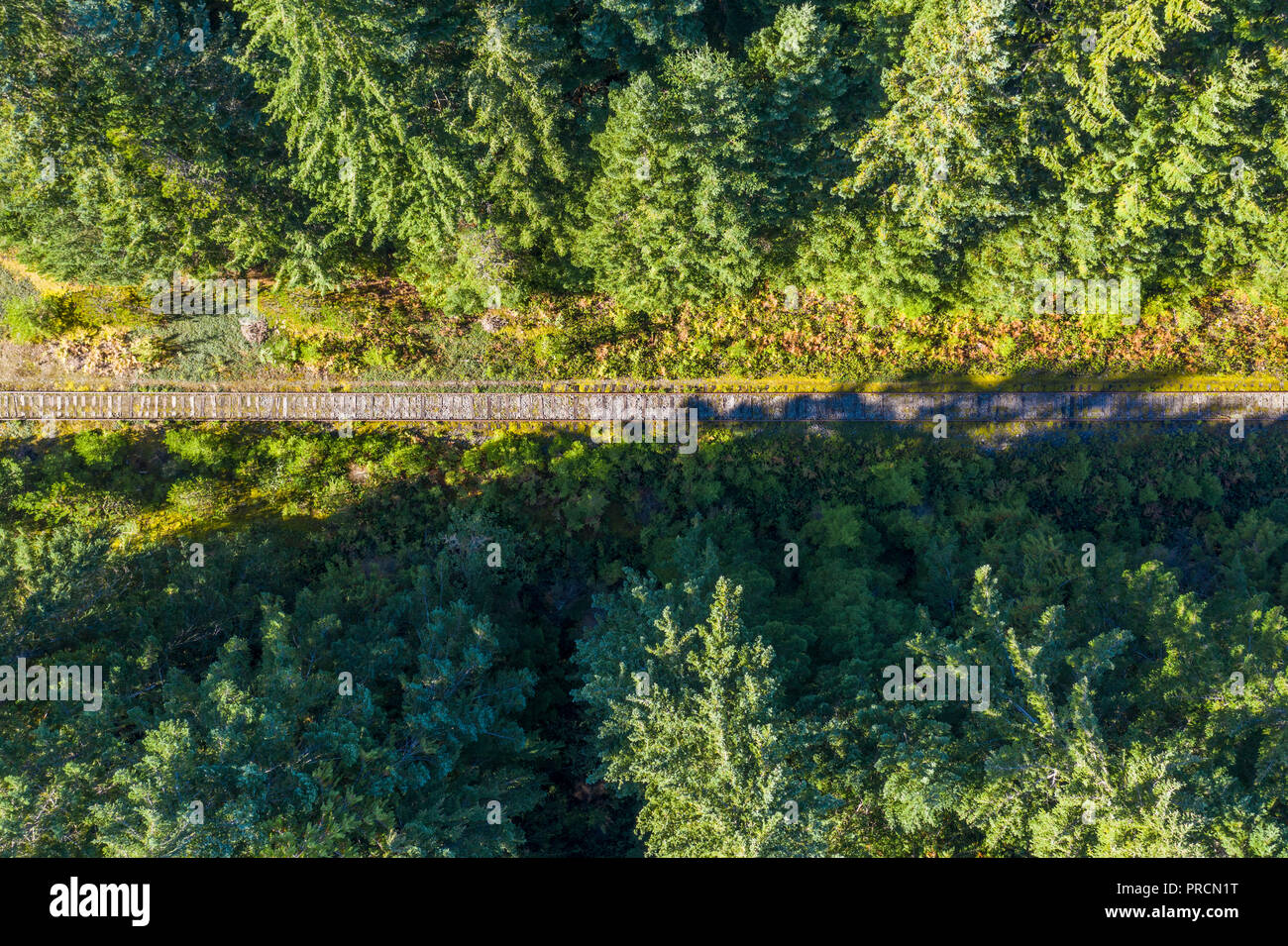 Aerial view of a train track through woodland Stock Photo