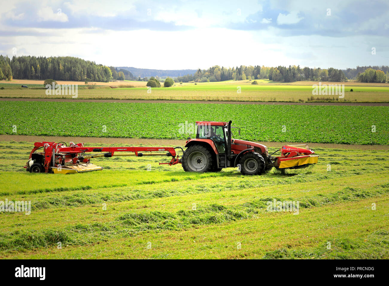 Salo, Finland - September 23, 2018: Farmer cuts hay on farmland with NOVACAT T trailed disc mower pulled by Case IH CS120 tractor on a beautiful day. Stock Photo
