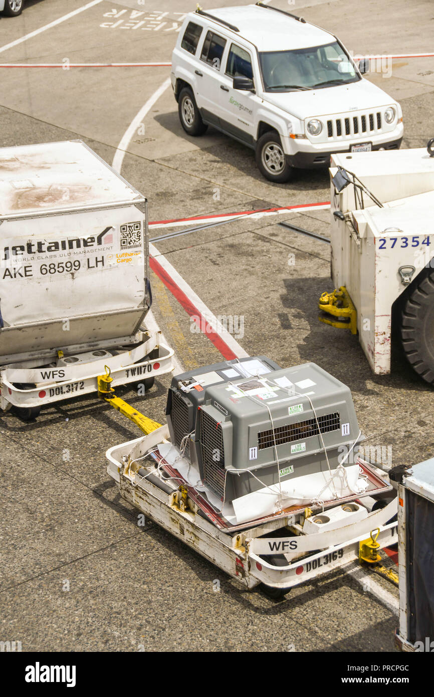 Air freight crate contain8ng a love animal on a trailer with pallets being towed across the airport apron in Seattle, WA Stock Photo