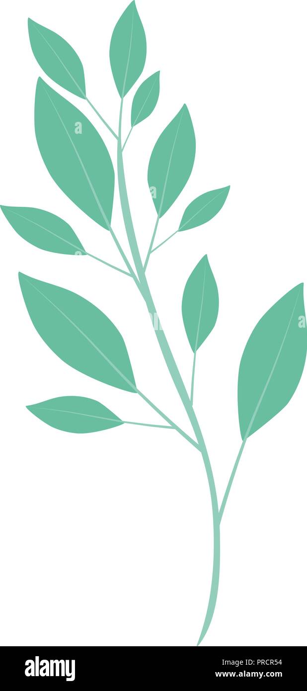 beautiful leaf plant isolated icon Stock Vector Image & Art - Alamy