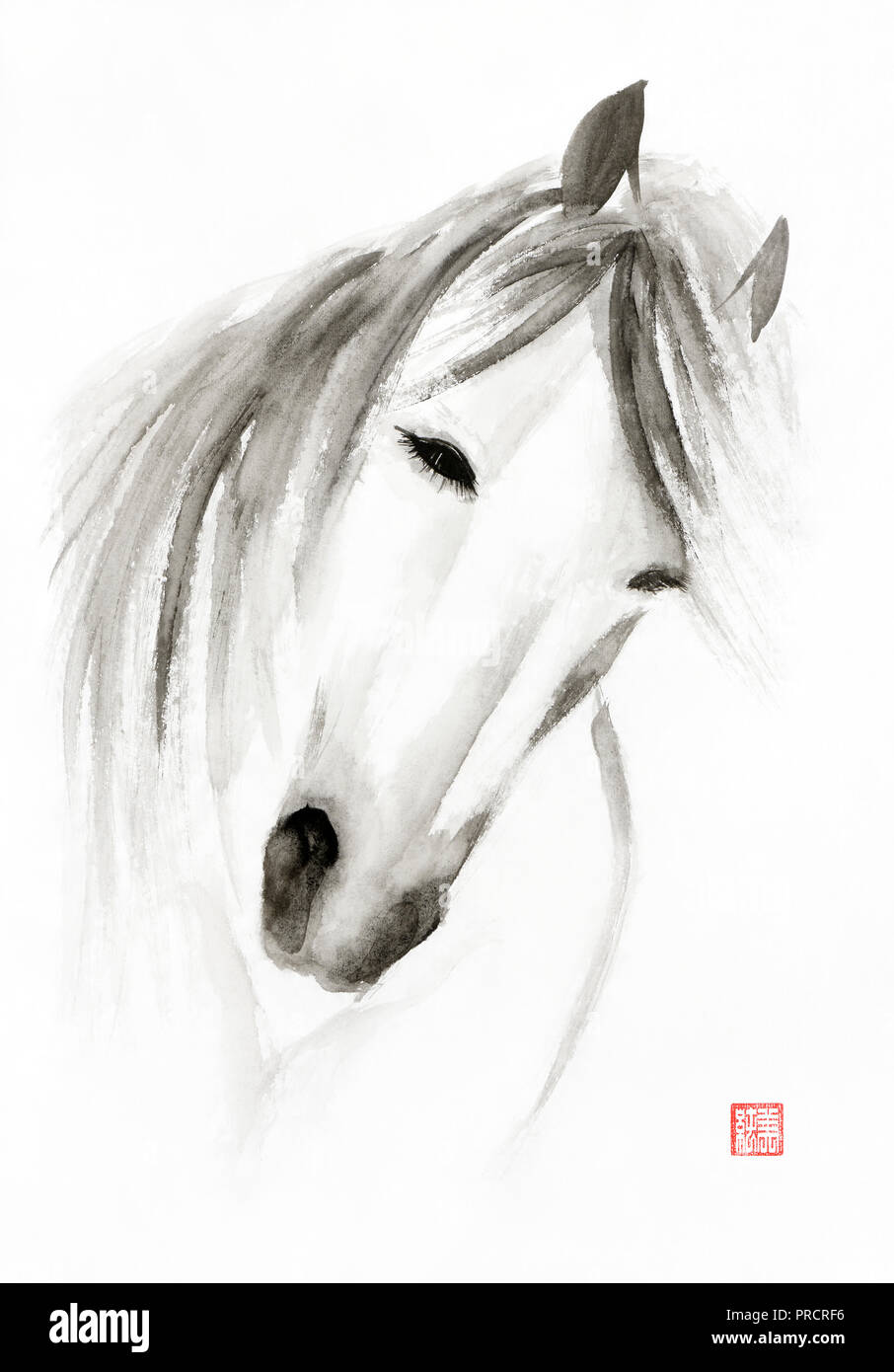 Wild white horse face with grey mane, abstract minimalistic portrait. Japanese Zen Sumi-e black ink painting on white rice paper background. Stock Photo