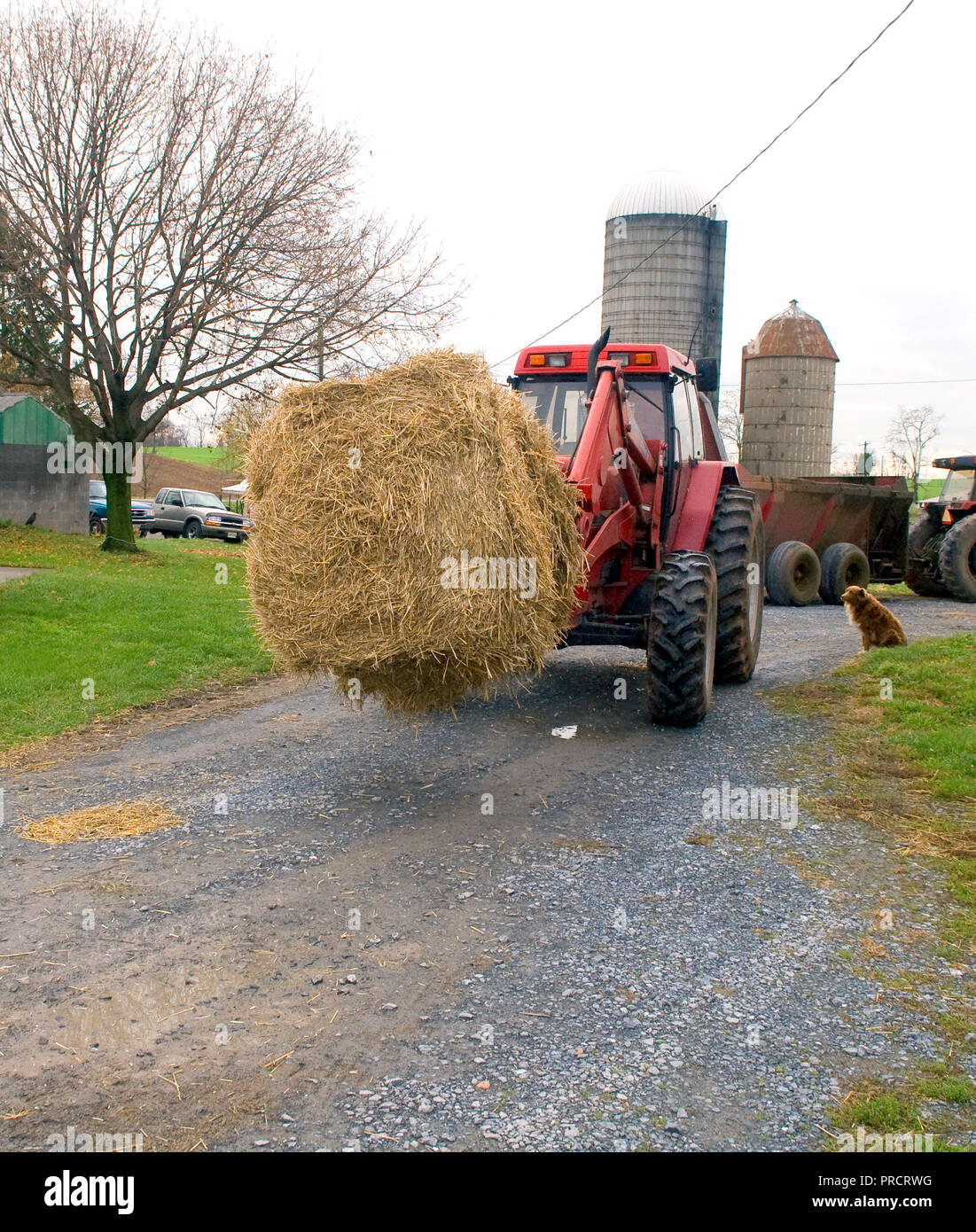Farmer using tractor to move a round hay bale Stock Photo - Alamy