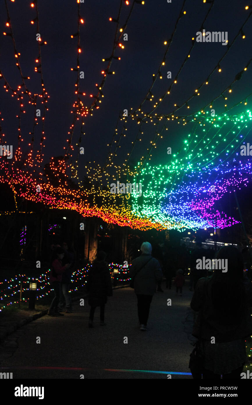 Rainbow Christmas Lights At The Lewis Ginter Botanical Garden In