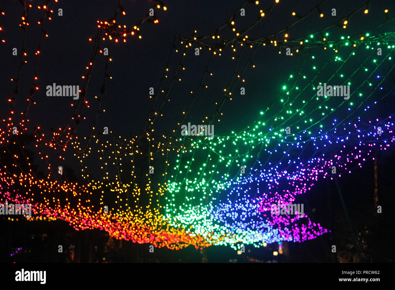 Rainbow Christmas lights at the Lewis Ginter Botanical Garden in