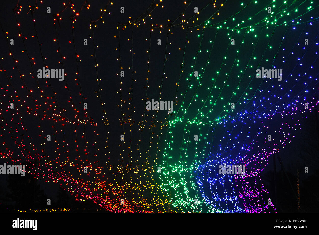 Rainbow Christmas lights at the Lewis Ginter Botanical Garden in