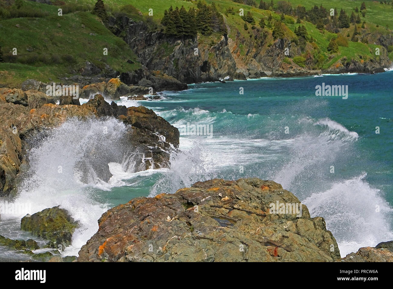 Newfoundland Photos of Torbay Beach in Torbay, Newfoundland, Canada Stock Photo Alamy