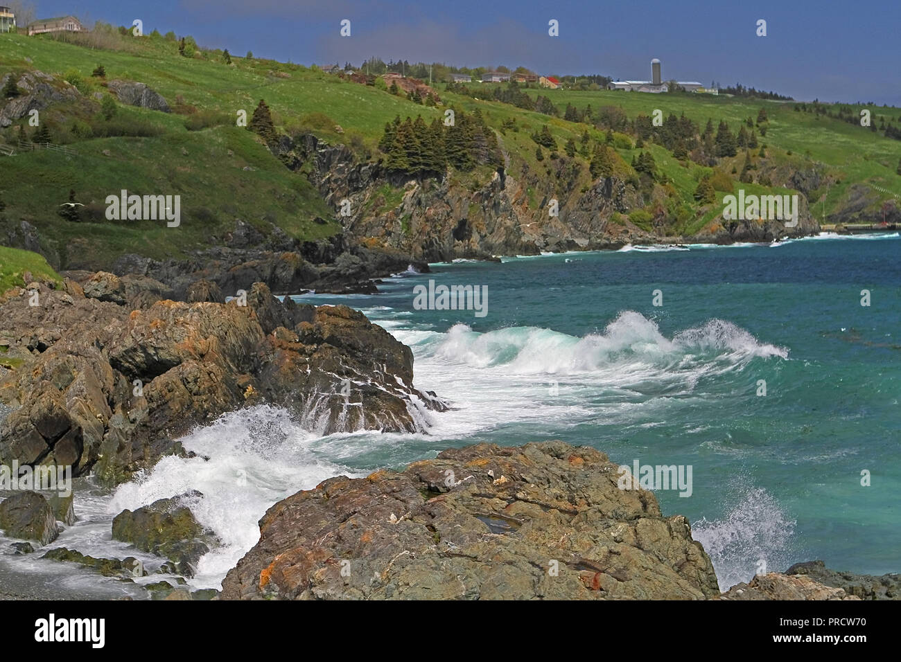 Newfoundland Photos of Torbay Beach in Torbay, Newfoundland, Canada Stock Photo Alamy