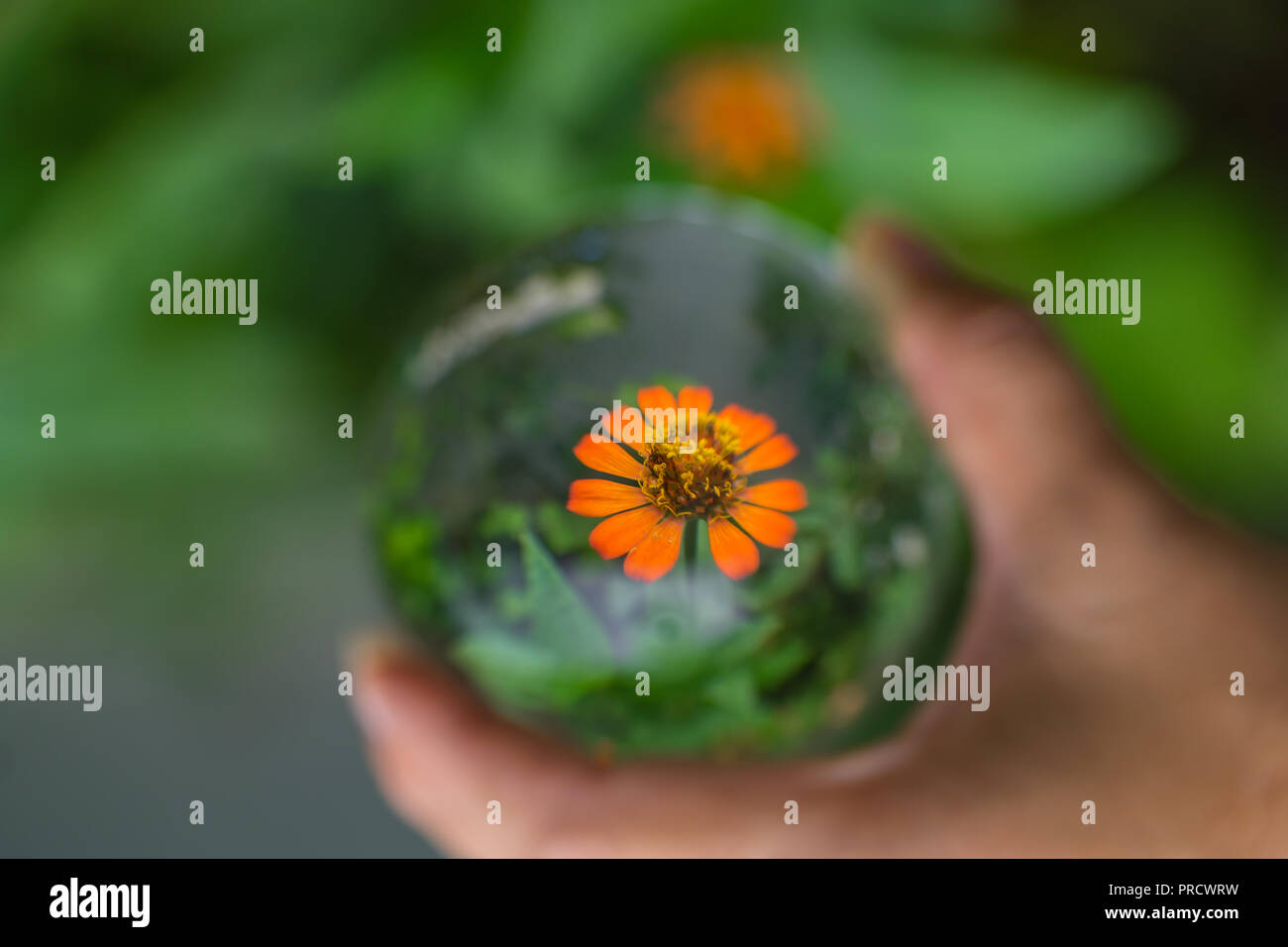 Crystal photography ball hires stock photography and images Alamy