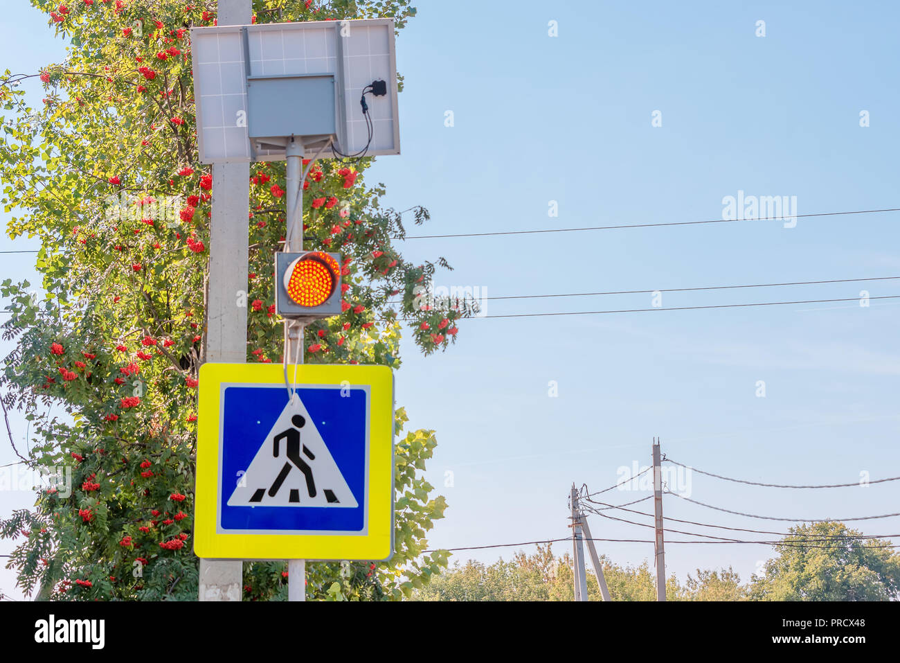 traffic light on the pedestrian crossing, prohibiting the red stop ...
