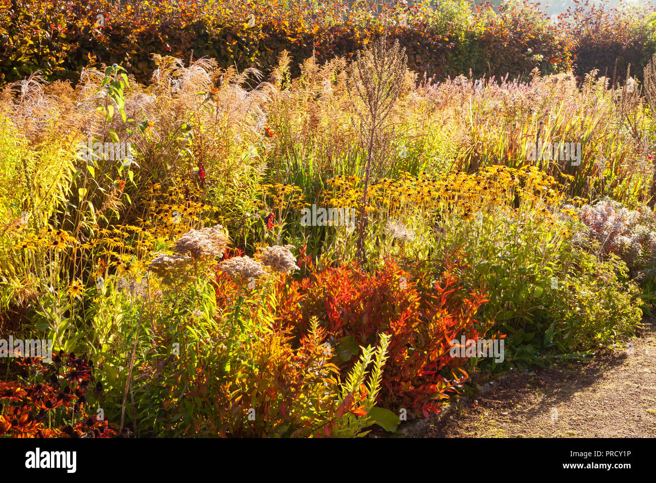 Helmsley Walled Garden, Helmsley, North Yorkshire, UK. Autumn, September 2018. Stock Photo