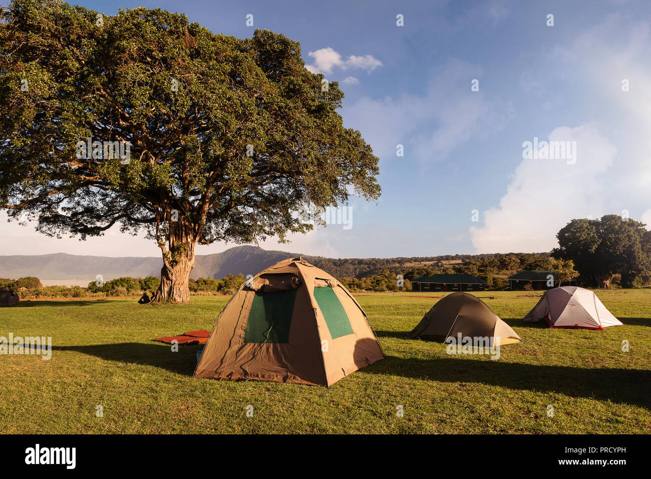Camping Wildlife High Resolution Stock Photography and Images - Alamy