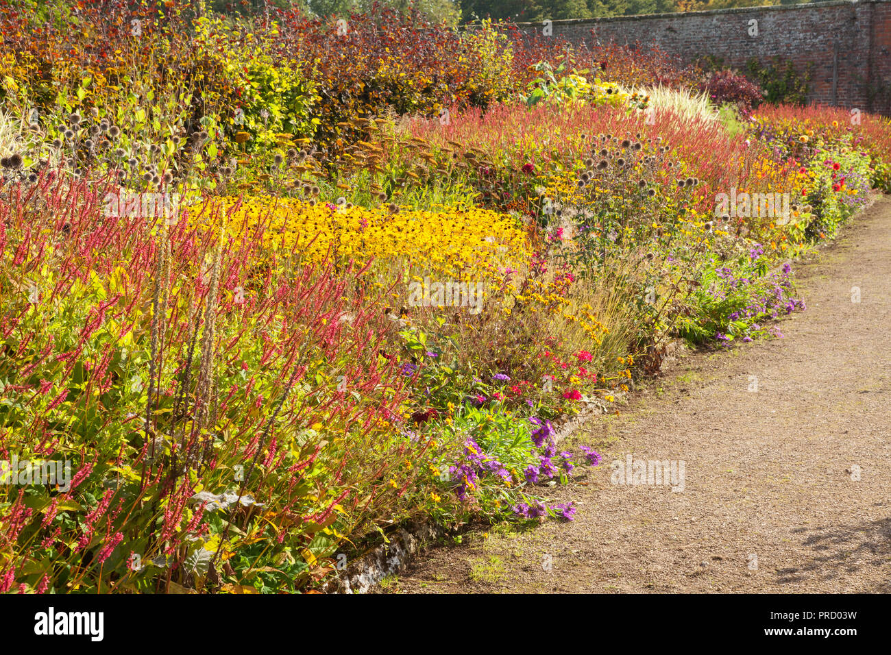 Helmsley Walled Garden, Helmsley, North Yorkshire, UK. Autumn, September 2018. Stock Photo