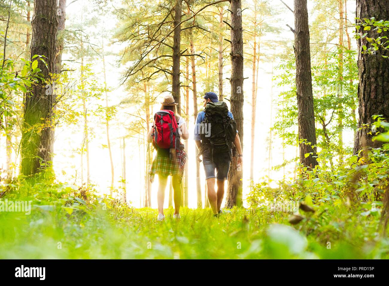Tough route. Beautiful young couple hiking together in the woods while ...
