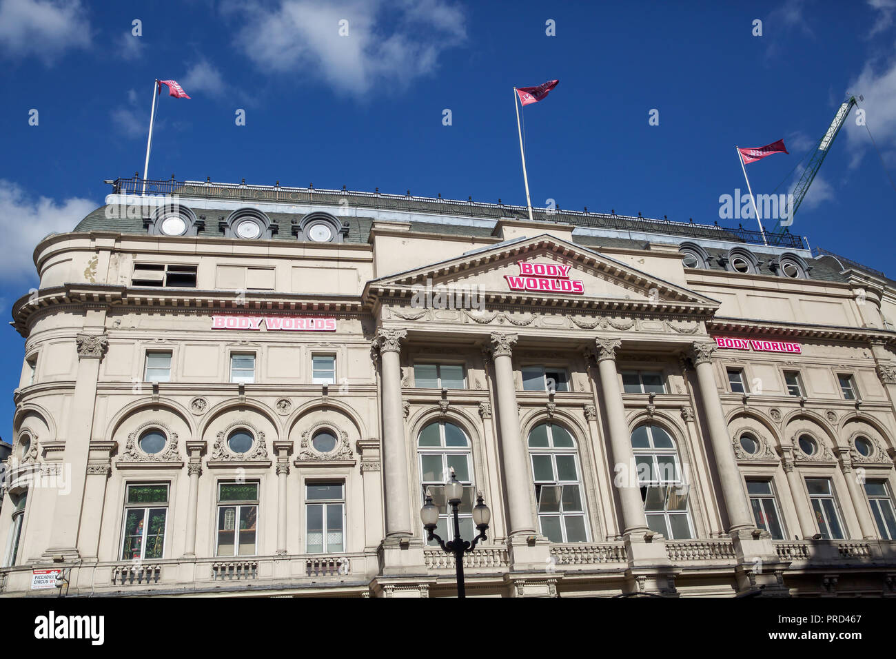 Body Worlds exhibition, London Pavilion Stock Photo Alamy