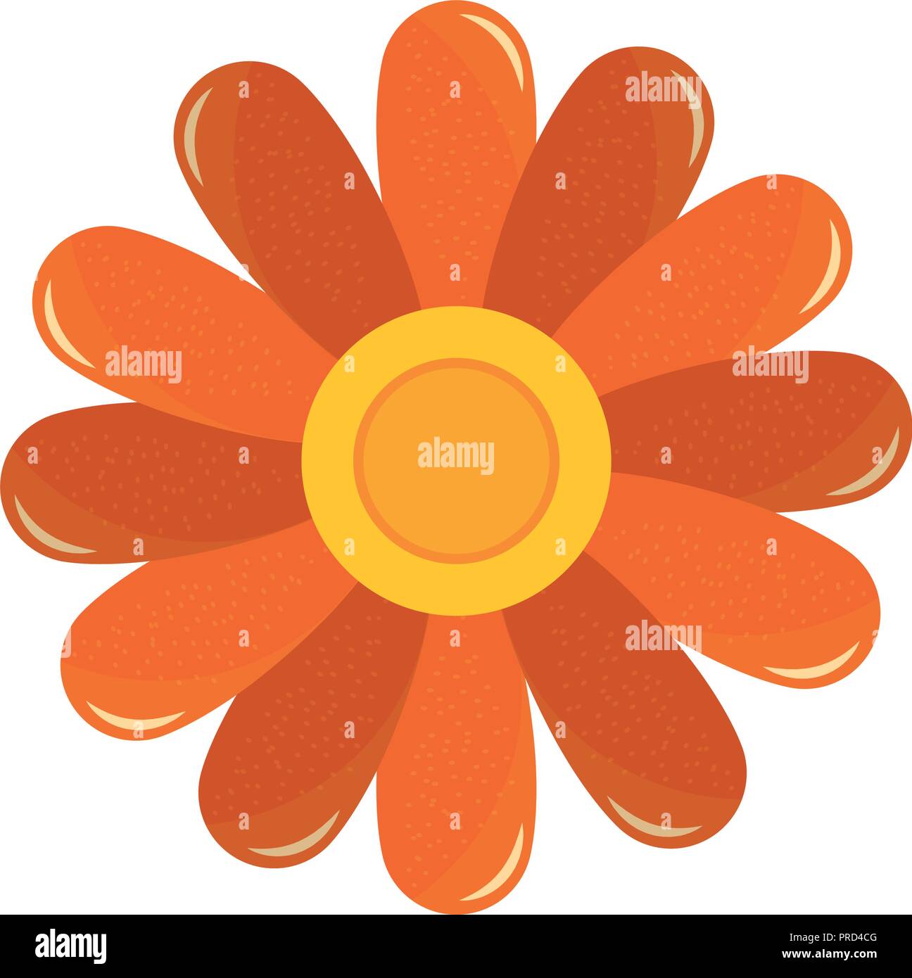 daisy flower decoration natural flora vector illustration Stock Vector ...