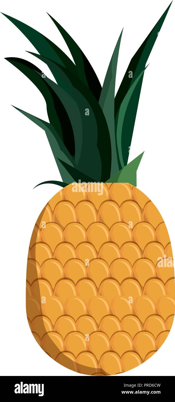 tropical pineapple fruit isolated design vector illustration Stock ...