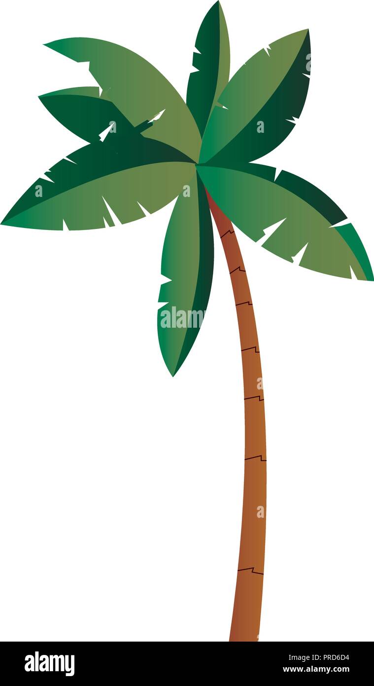 tropical palm tree isolated design vector illustration Stock Vector ...